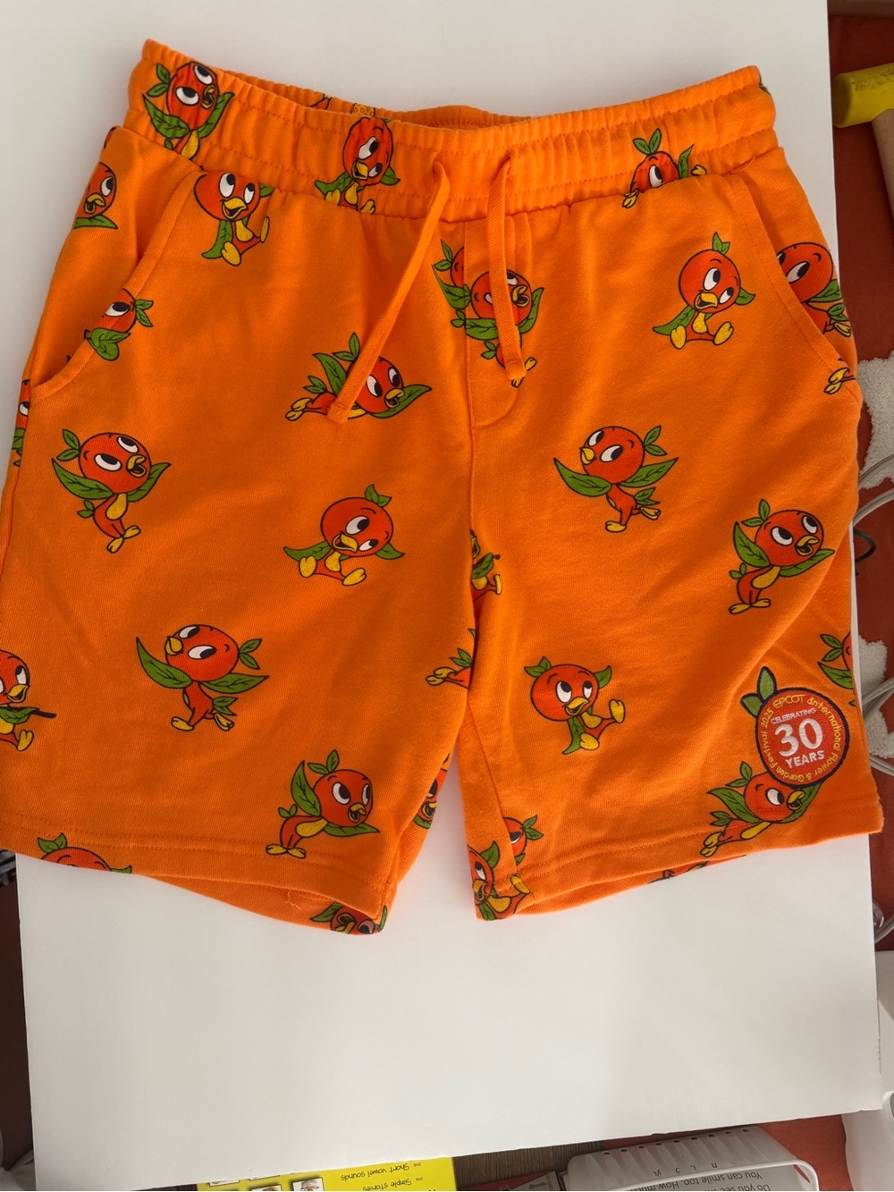 Disney EPCOT International Flower & Garden Festival 2025 Bird Women’s Shorts S